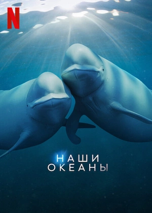 Наши океаны 1 сезон
